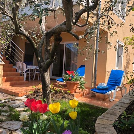 Villa Alexandra 4 Pjescana Uvala Zewnętrze zdjęcie